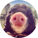 Anatoli K profile picture