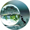 Ulla R. profile picture